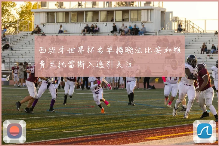 西班牙世界杯名单揭晓法比安加维费兰托雷斯入选引关注