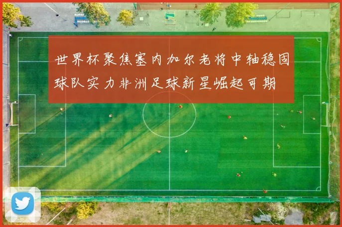 世界杯聚焦塞内加尔老将中轴稳固球队实力非洲足球新星崛起可期